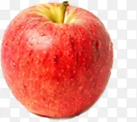 红色新鲜富士苹果