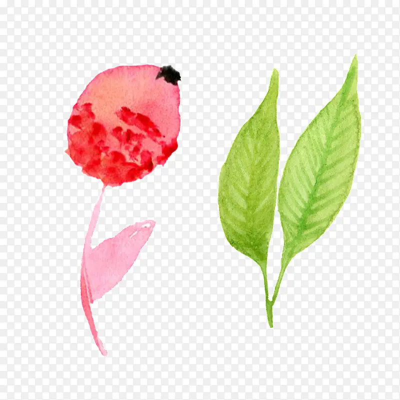 手绘水彩树叶花卉装饰图案