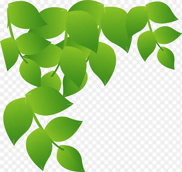 绿色卡通可爱清爽树叶