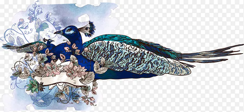 水彩蓝色孔雀