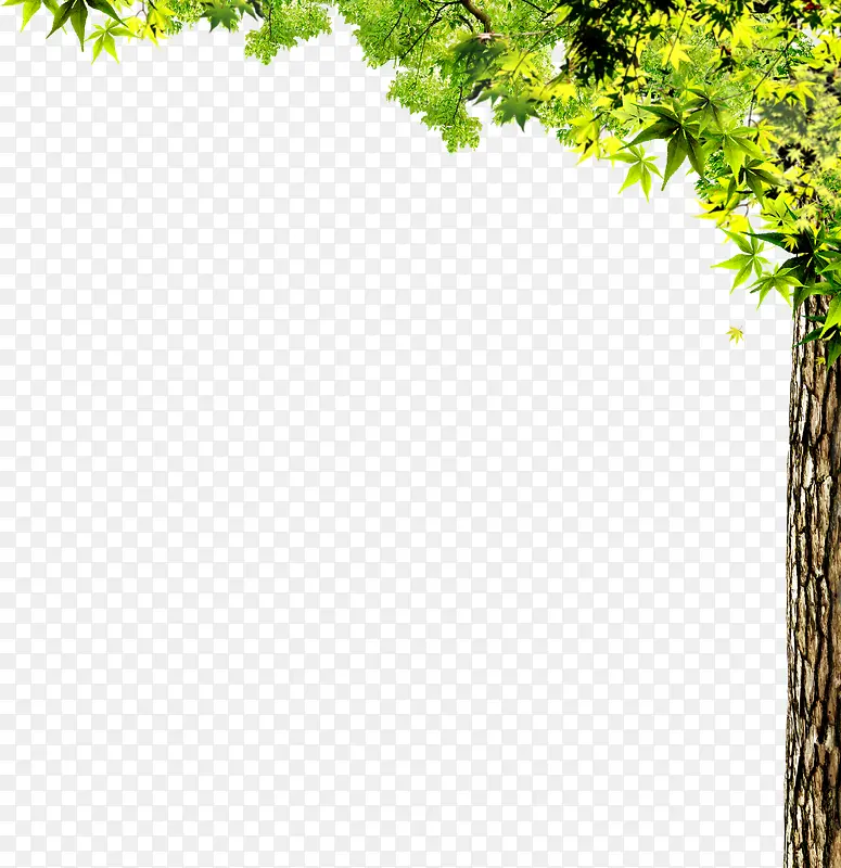 树叶装饰PNG图片素材下载_图片编号qvvaovll-免抠素材网