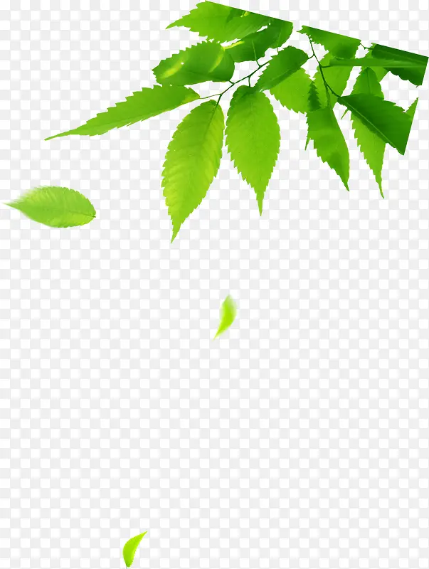 阳光卡通绿色树叶PNG图片素材下载_图片编号yjkxaemn-免抠素材网