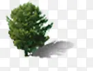 绿色卡通朦胧小树