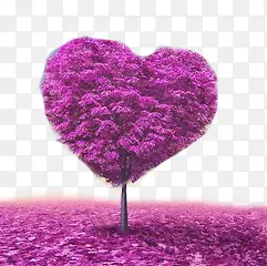 紫色爱心树