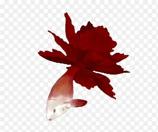 红色抽象花