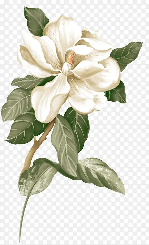 立绘创意合成白色的栀子花