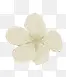创意合成白色的花瓣