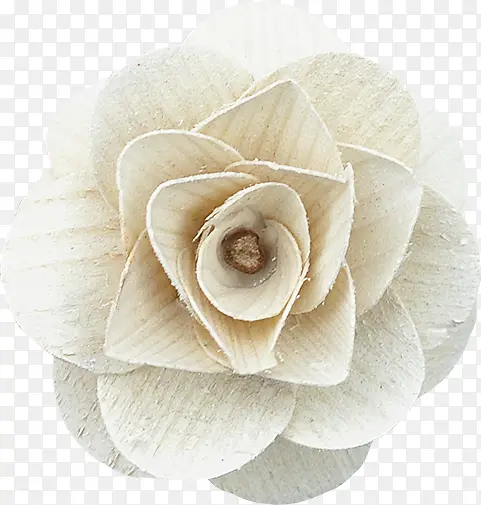 手工艺术品白色的花