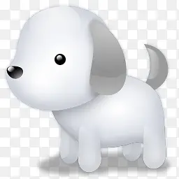 白色小狗可爱萌