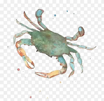 一只手绘青蟹
