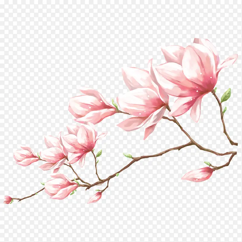 春天粉色花朵