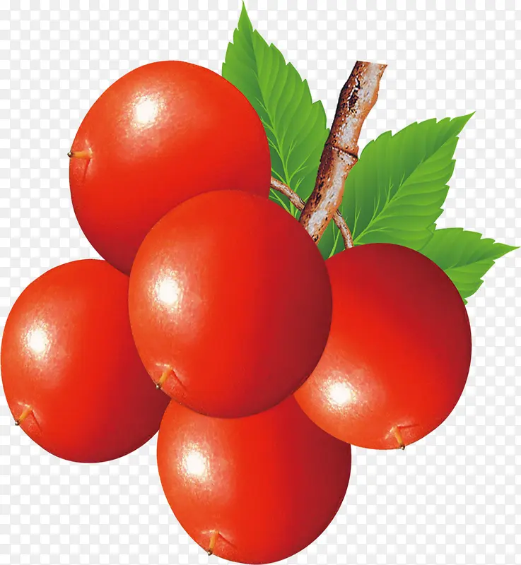 钙果 果子 红果