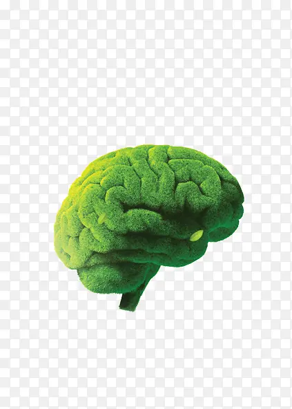 脑子形状的绿油田