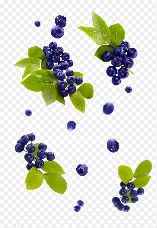蓝莓水果漂浮物