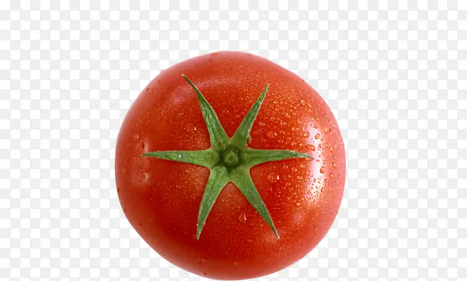 一个完整的番茄