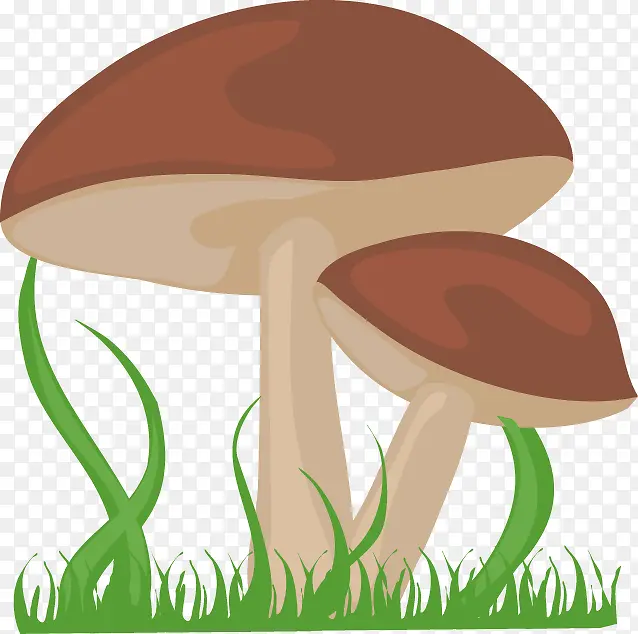 手绘卡通可爱蘑菇丛