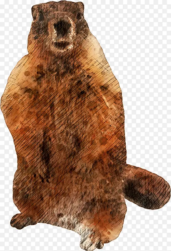 免扣png 素材 手绘 可爱 动物 大熊