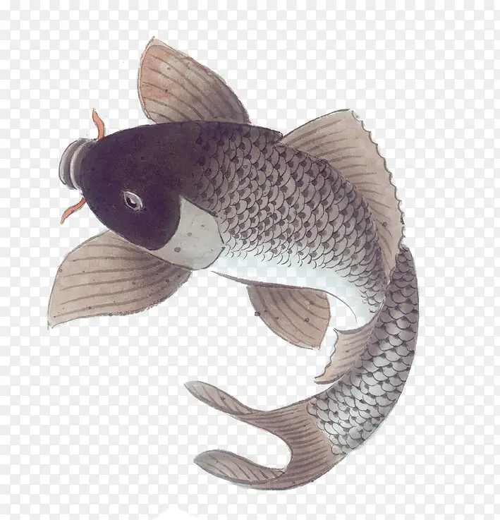 动物 鱼 水墨  插画 素材
