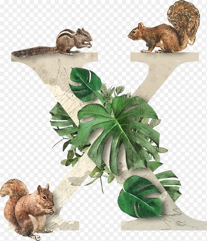 动植物英文字母 x