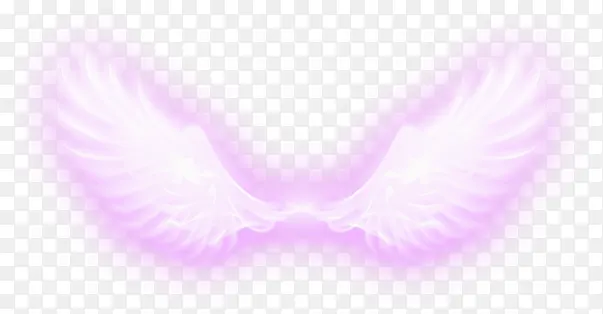 紫色梦幻翅膀