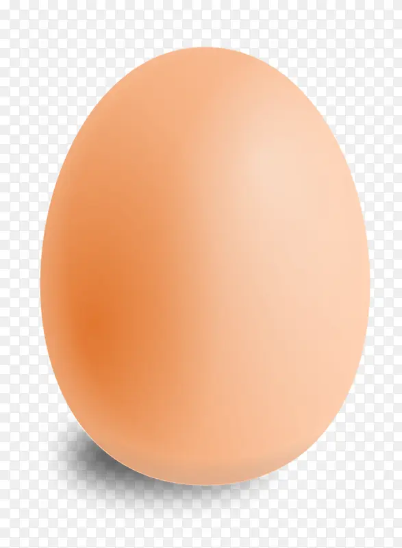 一个新鲜的生鸡蛋