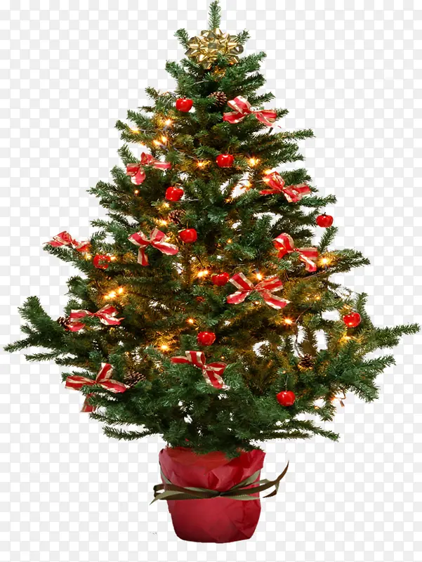 圣诞素材-圣诞树4