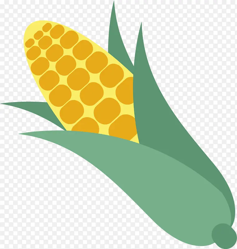 秋季收获的玉米