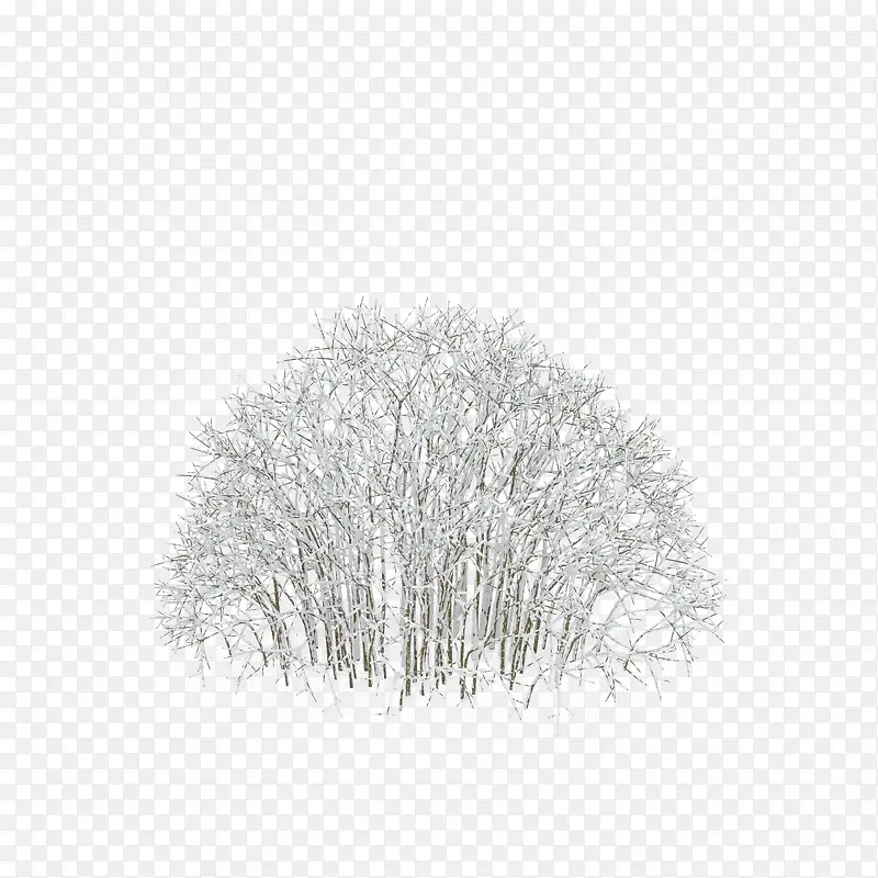 雪中植物树枝