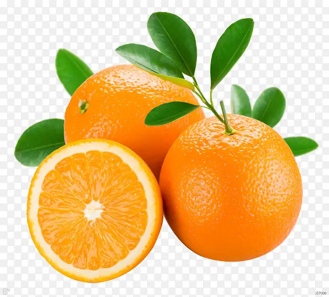 橙色橙子透明图PNG