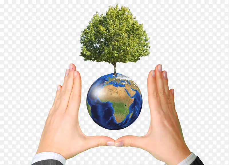 手与地球之间的树