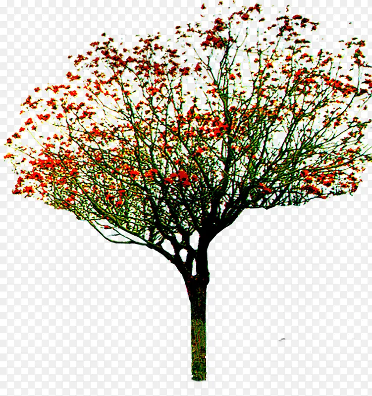 创意高清摄影红色树木
