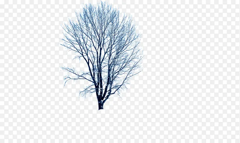 蓝色环境渲染效果树木造型