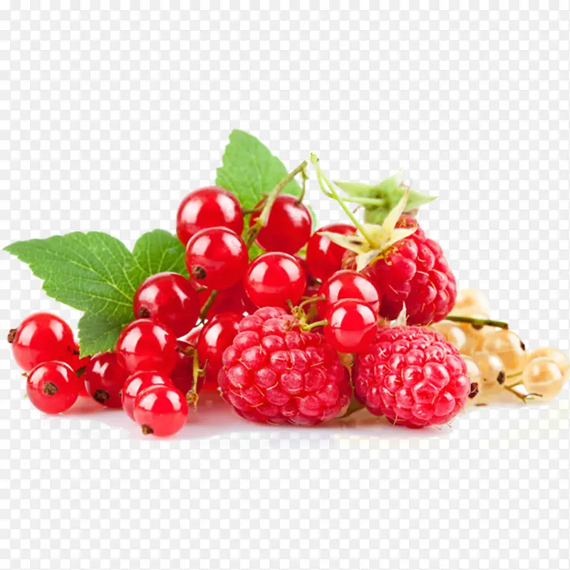 树莓浆果免抠素材