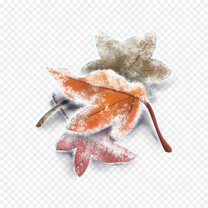手绘霜降三片红色枫叶