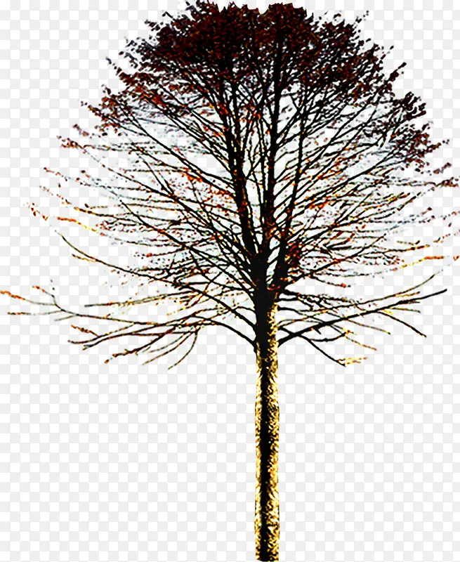 环境渲染效果树木创意合成