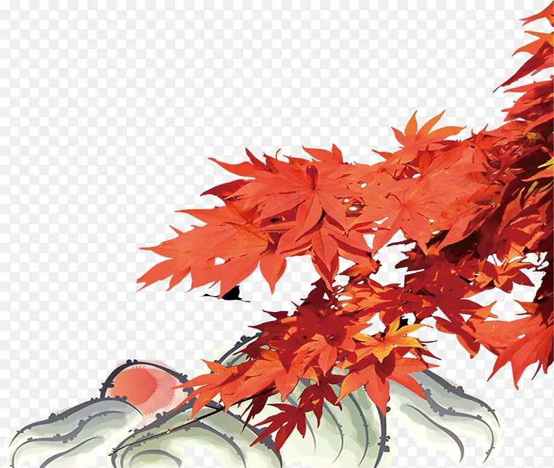 秋天枫叶 树叶