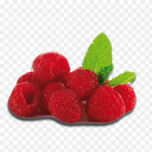 红色鲜艳美味树莓