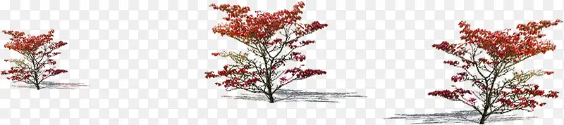 红色高清创意环境素材梅花树
