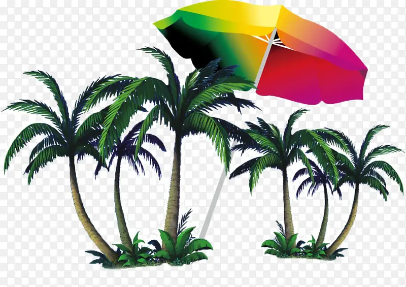 雨林度假
