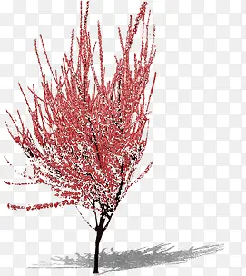 红色小花雪后树枝