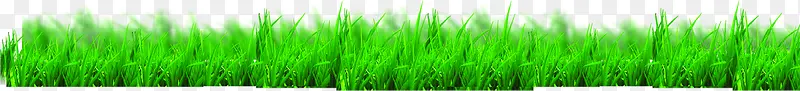 绿色小草世界环境日展板
