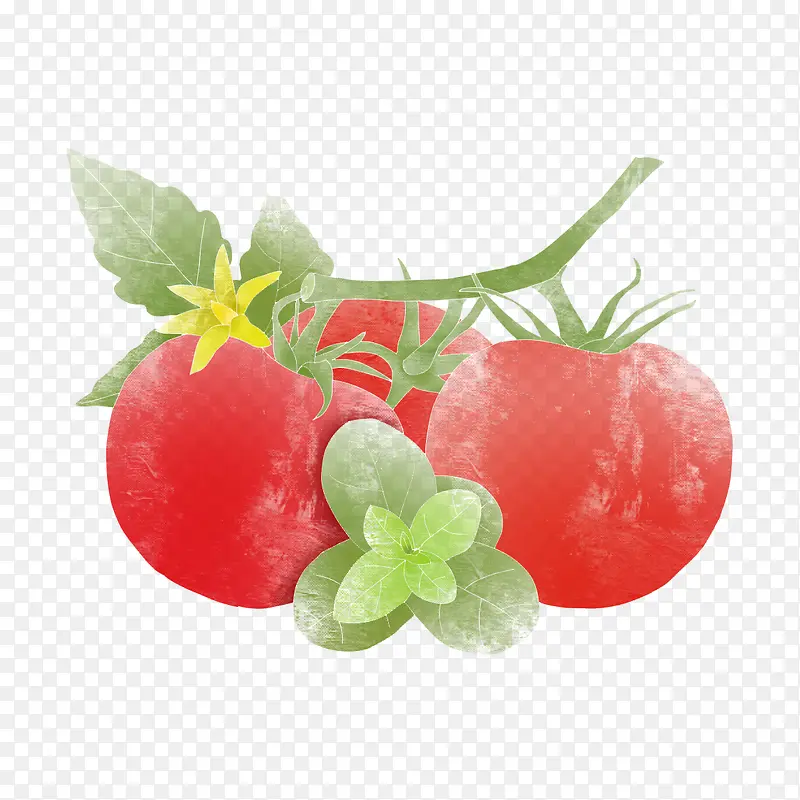 手绘柿子水果健康元素