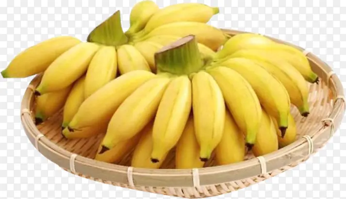 芭蕉 香蕉 水果