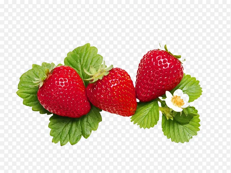 水果新鲜草莓