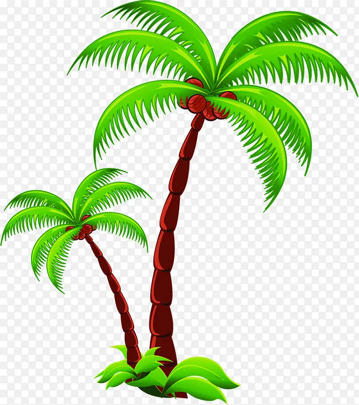手绘卡通夏日植物椰子树