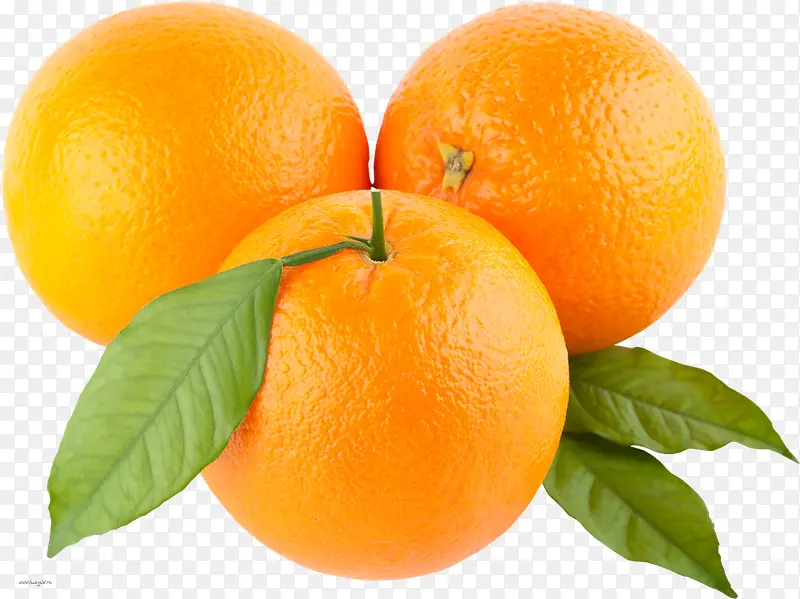 三个新鲜的橙子