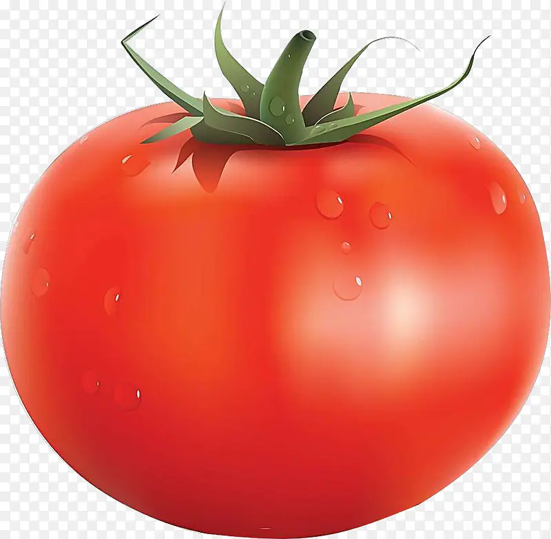 大个红色西红柿