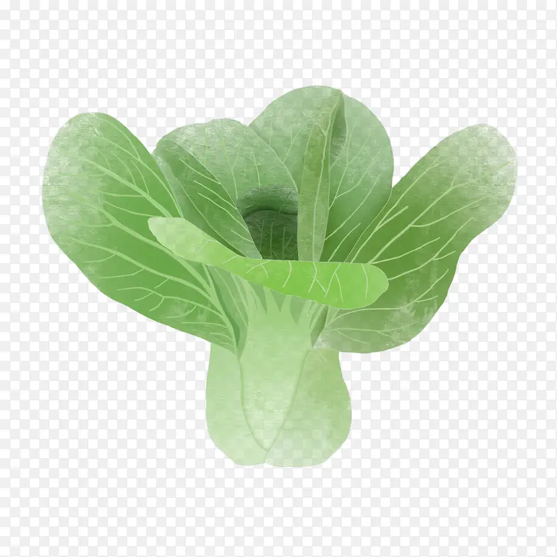 美味油菜蔬菜水果