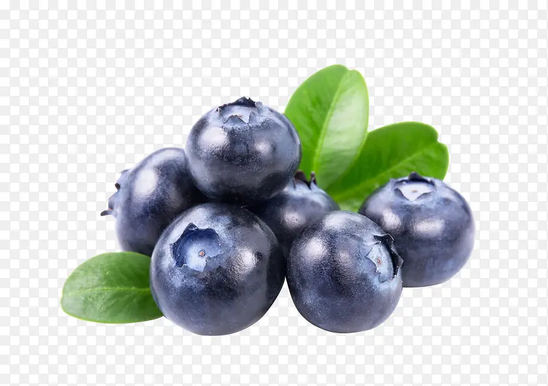 夏季水果  蓝莓
