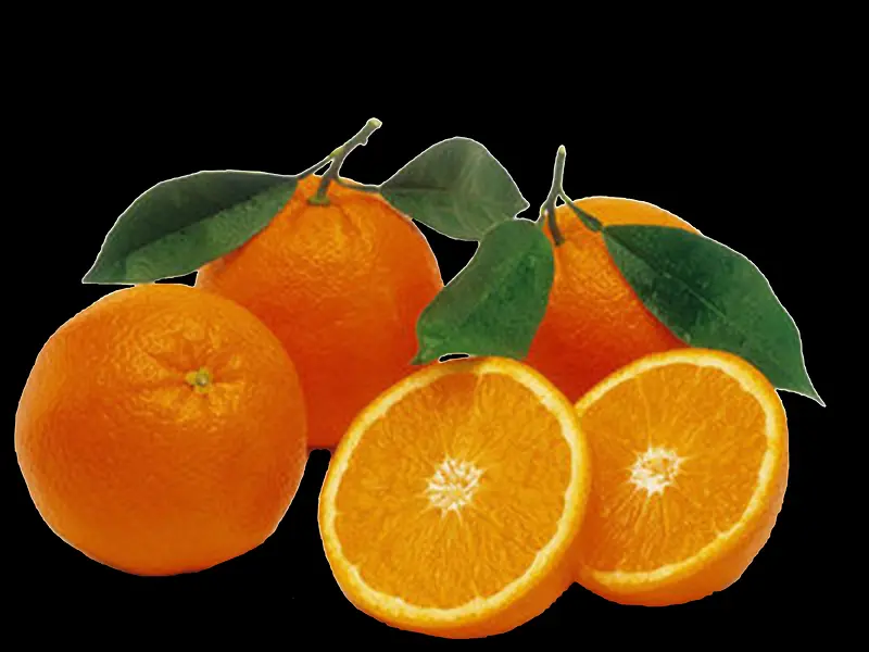新鲜的甜橙子